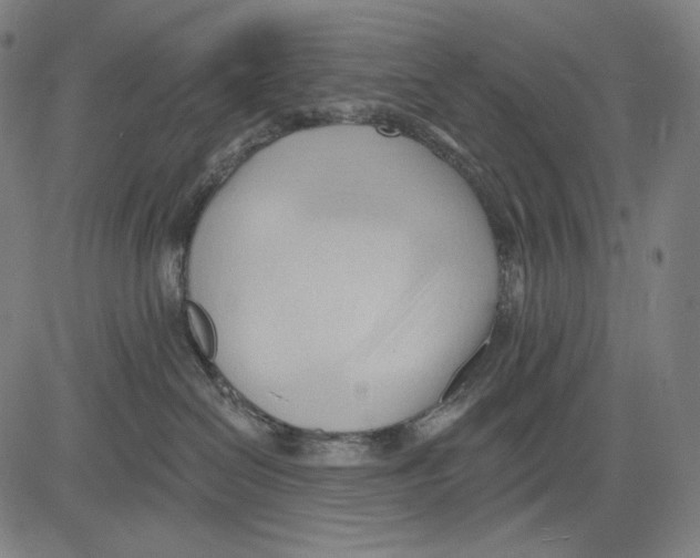 X0000083610286200703121610