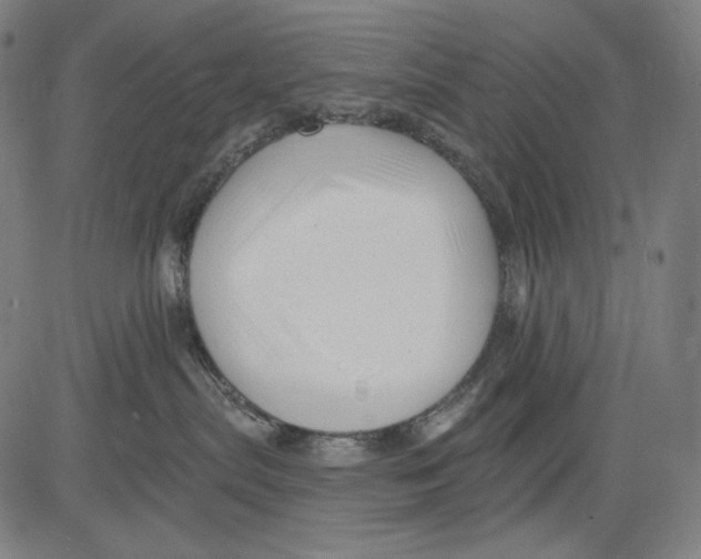 X0000083610287200703121610