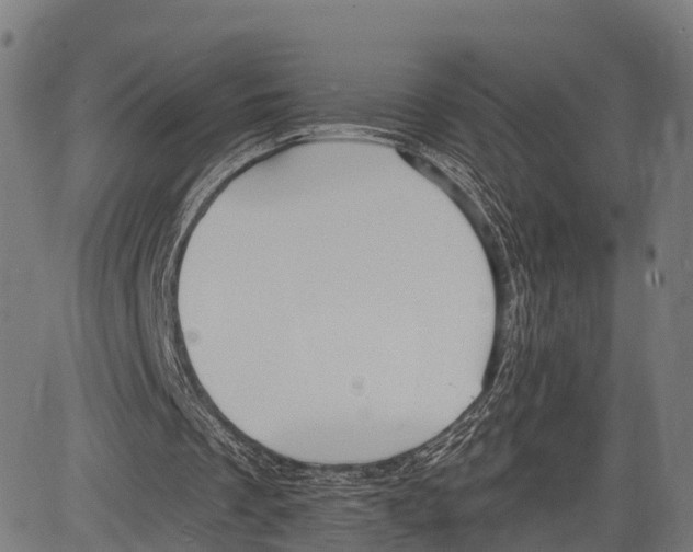 X0000083610289200703121610