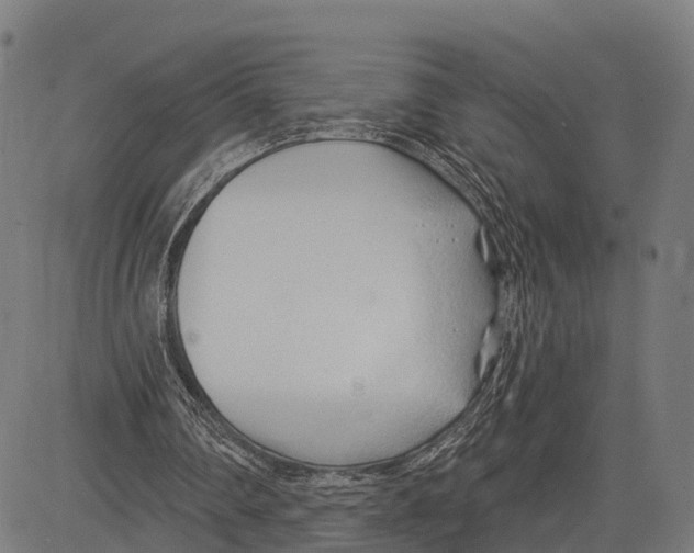 X0000083610290200703121610