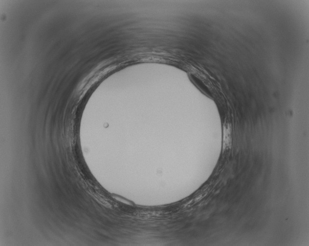 X0000083610291200703121610