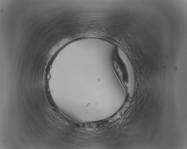 X0000083610292200703121610