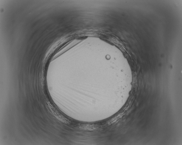 X0000083610293200703121610