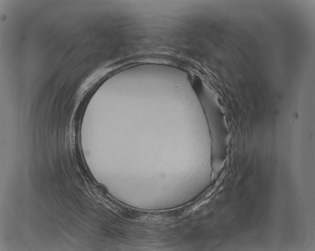 X0000083610294200703121610