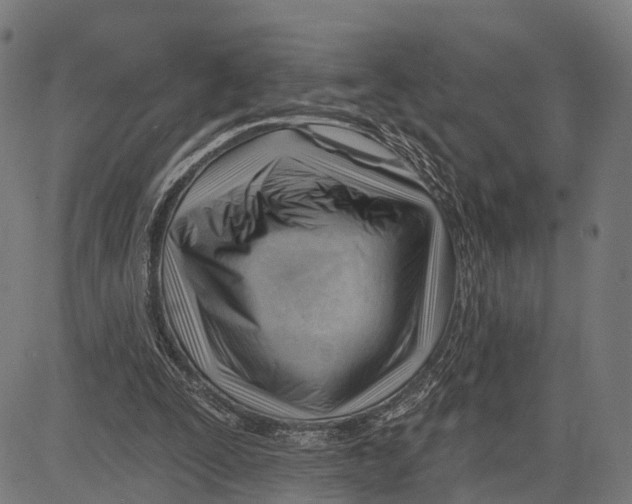 X0000083610295200703121609