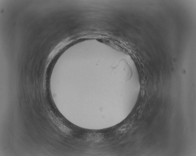 X0000083610296200703121609