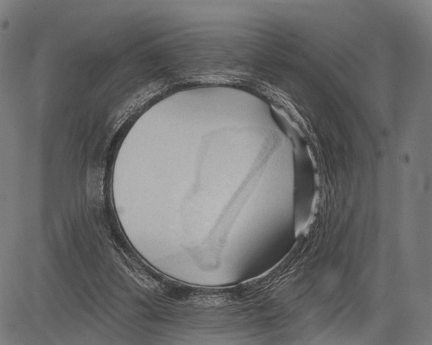 X0000083610299200703121609