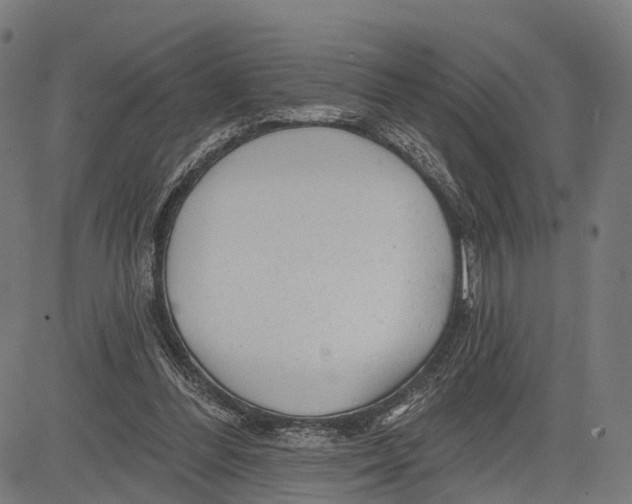 X0000083610300200703121609