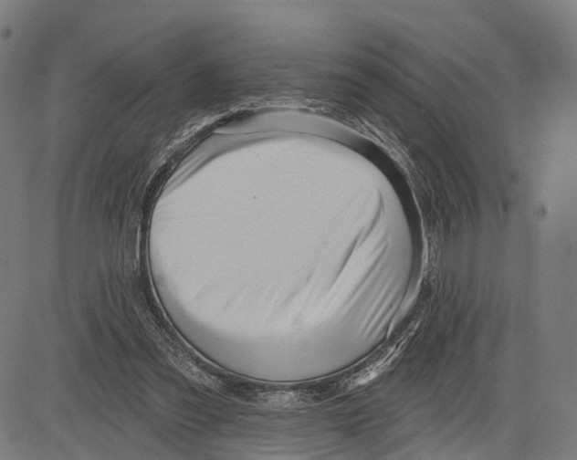 X0000083610301200703121609