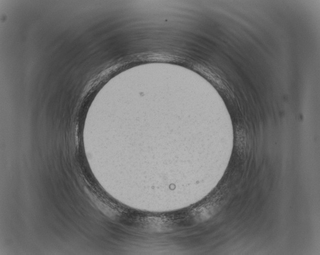 X0000083610302200703121609