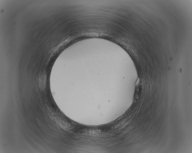 X0000083610304200703121609