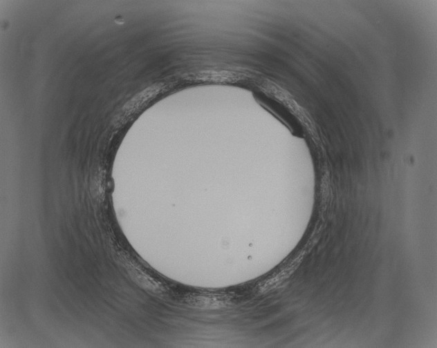 X0000083610305200703121609