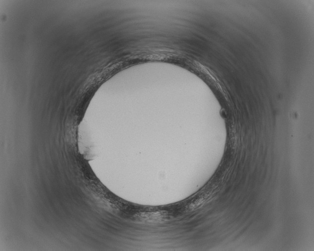 X0000083610307200703121609