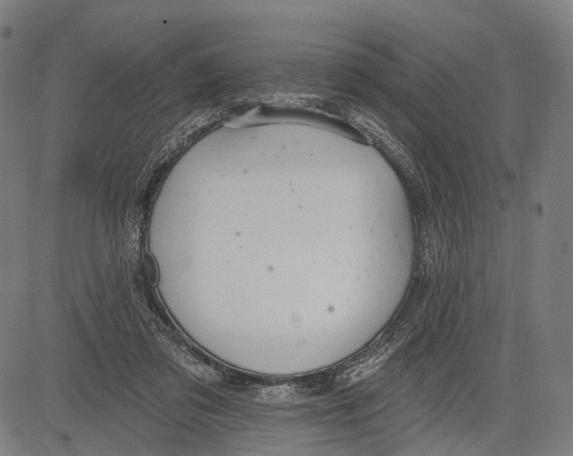 X0000083610309200703121609