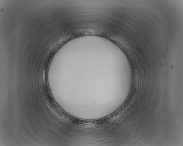 X0000083610310200703121609