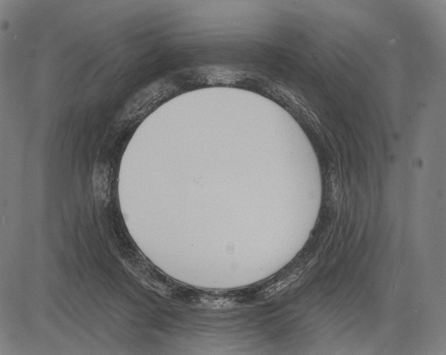 X0000083610311200703121609