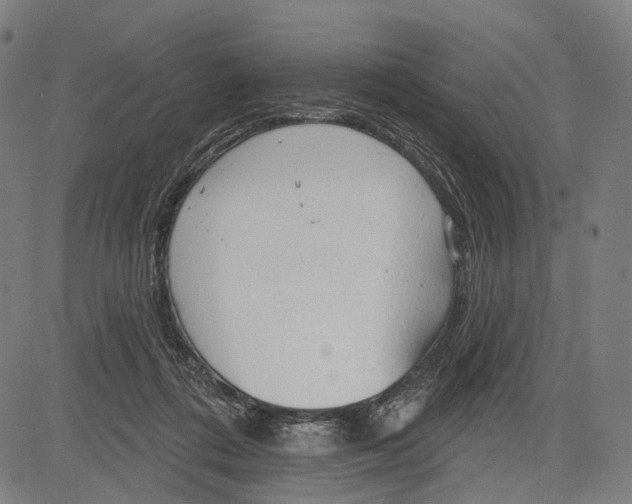 X0000083610312200703121609