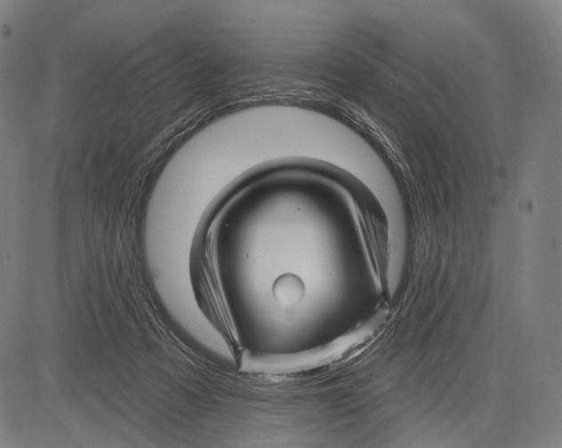 X0000083610313200703121609