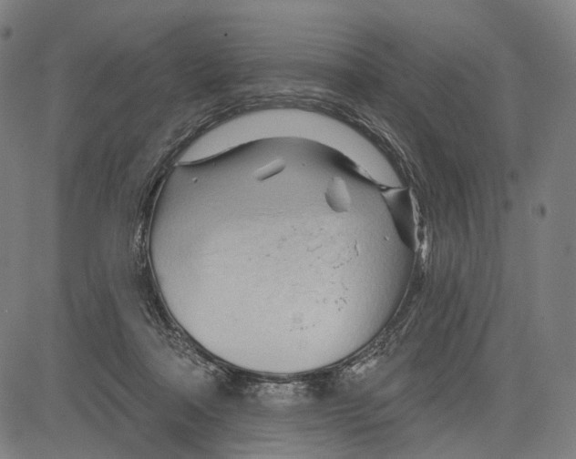 X0000083610314200703121609