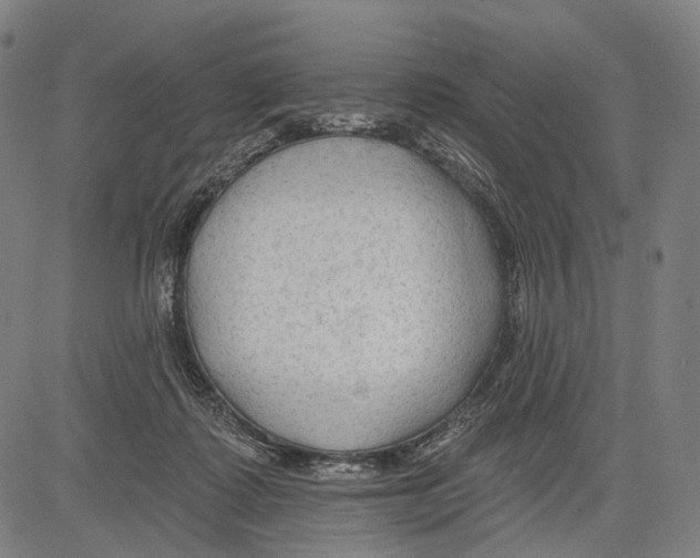 X0000083610315200703121609