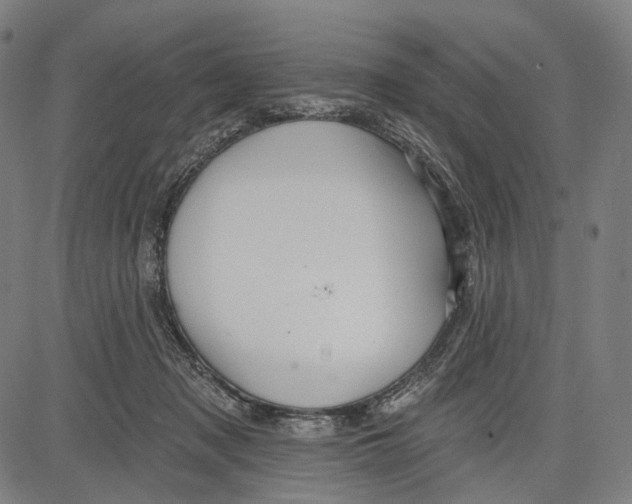 X0000083610317200703121609