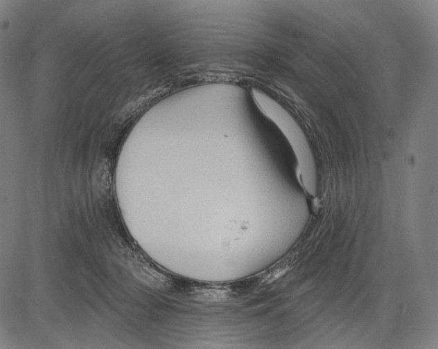 X0000083610318200703121609