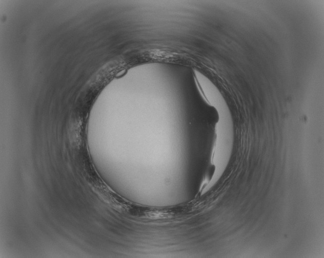 X0000083610319200703121609