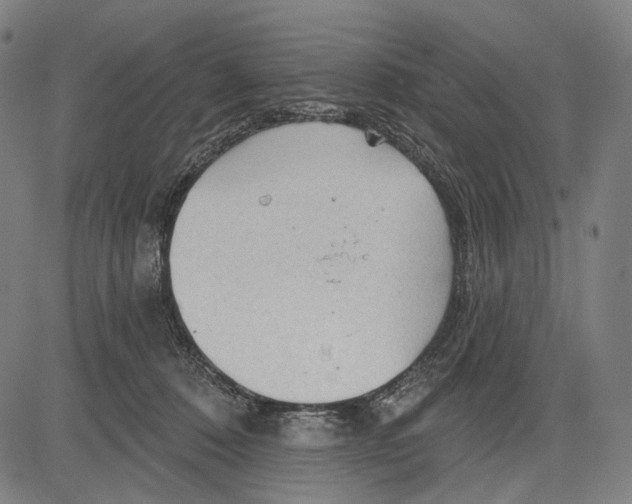 X0000083610320200703121609