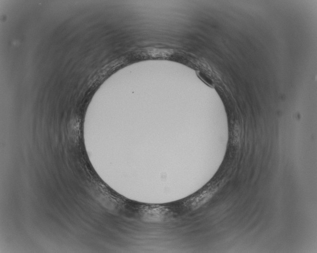 X0000083610321200703121609