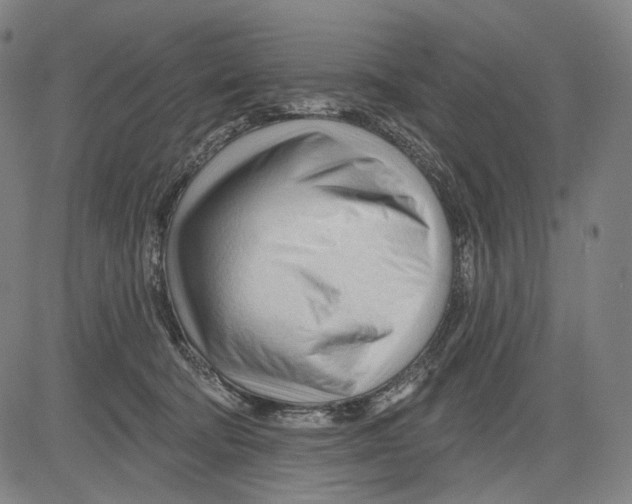 X0000083610322200703121609