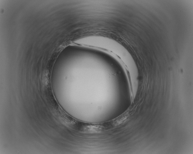 X0000083610323200703121609