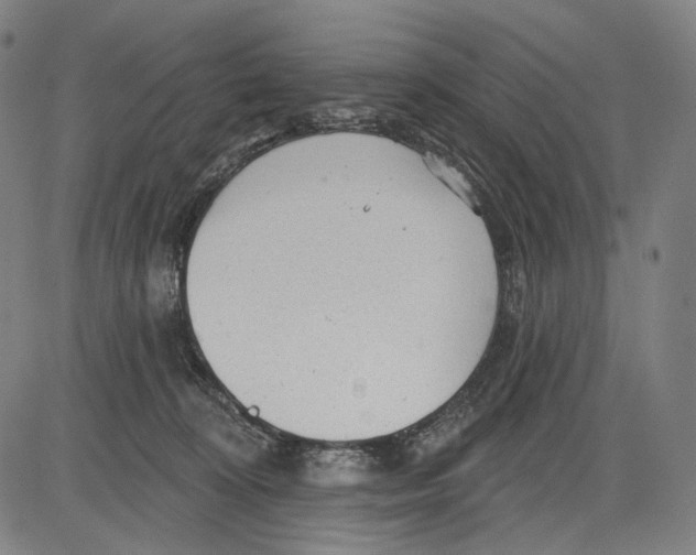 X0000083610324200703121609