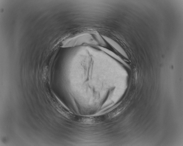 X0000083610325200703121609