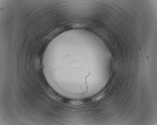 X0000083610327200703121609