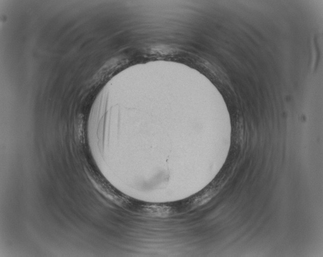 X0000083610328200703121609