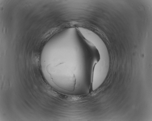 X0000083610329200703121609