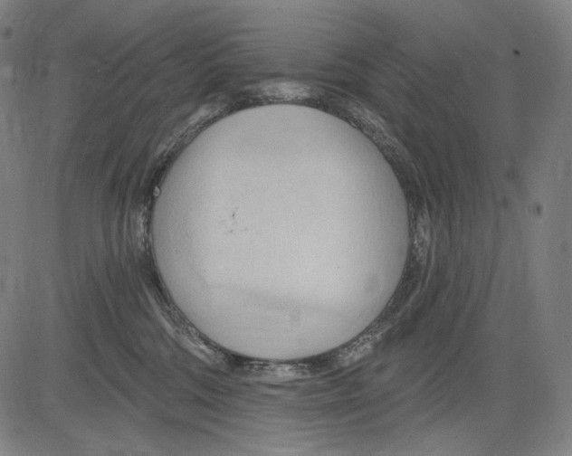 X0000083610330200703121609