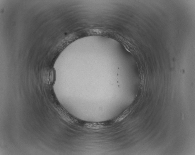 X0000083610331200703121609