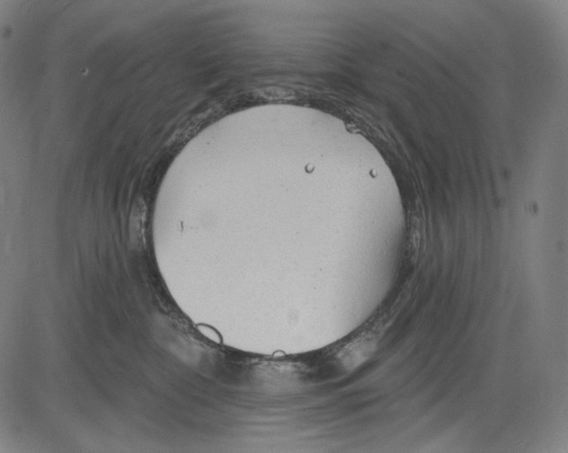 X0000083610332200703121609