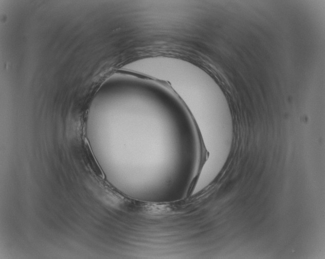 X0000083610333200703121609