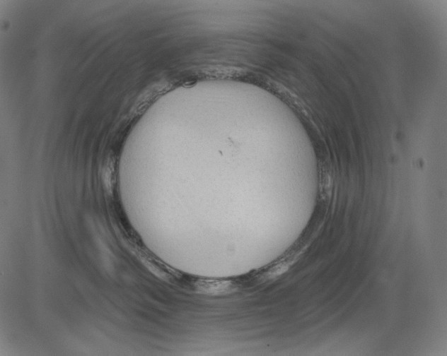 X0000083610334200703121609