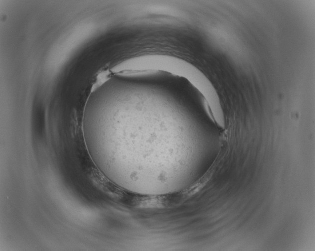 X0000083610335200703121609