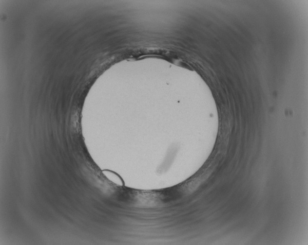 X0000083610336200703121609