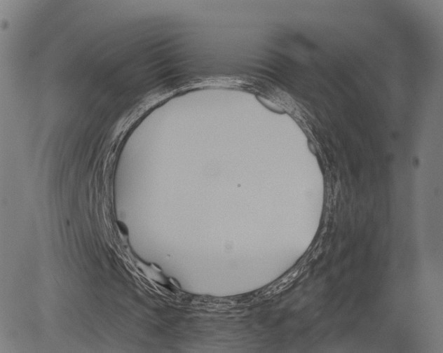 X0000083610337200703121608