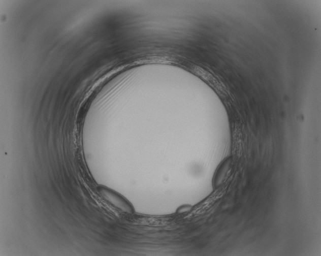 X0000083610338200703121608