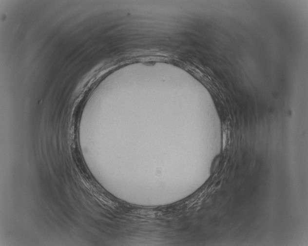 X0000083610339200703121608