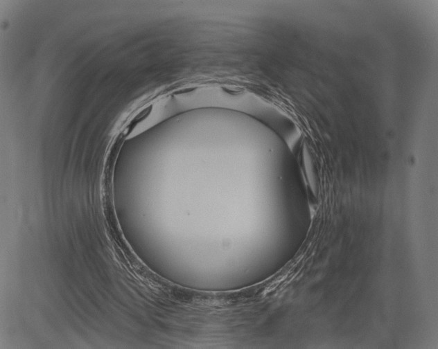 X0000083610340200703121608