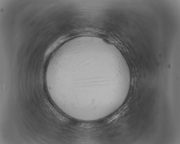 X0000083610341200703121608