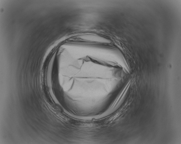 X0000083610342200703121608