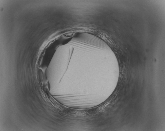 X0000083610343200703121608